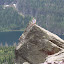 Glacier Park Nyack Loop-67.JPG