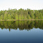 As water reflects [the trees], so a mans heart reflects the man - Proverbs 27:19