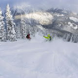Catboarding - Riding the pow