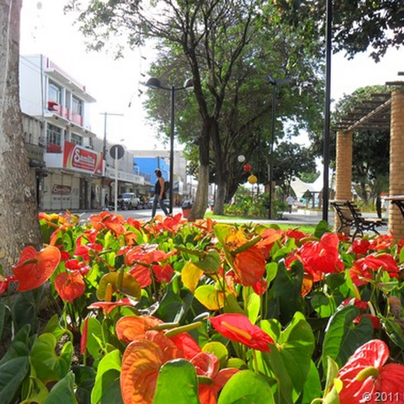mais jardins para o nosso futuro