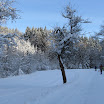 Kychová 2010