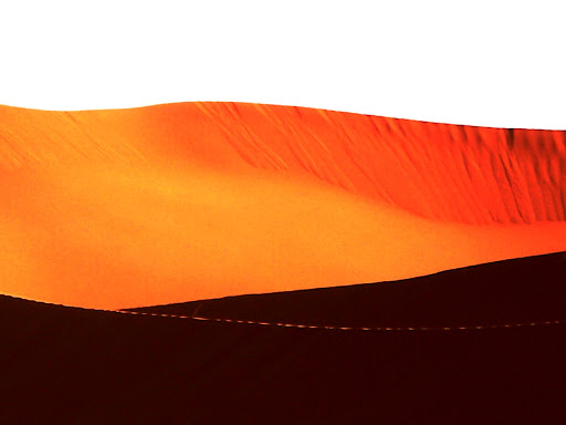 palette de tons orangés désert