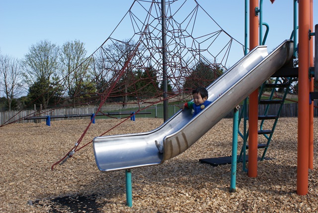 [DSC00617[2].jpg]