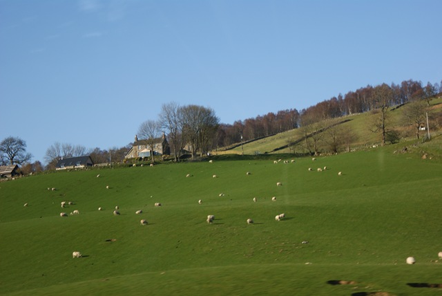 [DSC008672.jpg]
