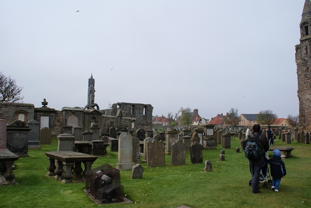 [DSC011482.jpg]