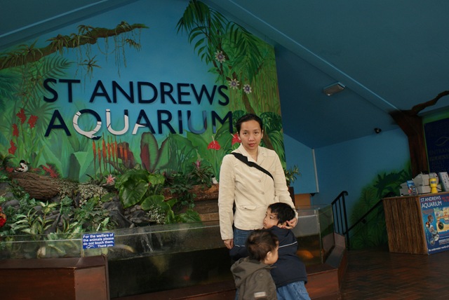 [DSC009932.jpg]