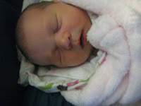 IMG_2622.JPG
