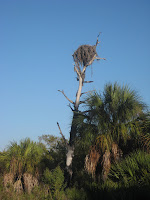 IMG_1440.jpg