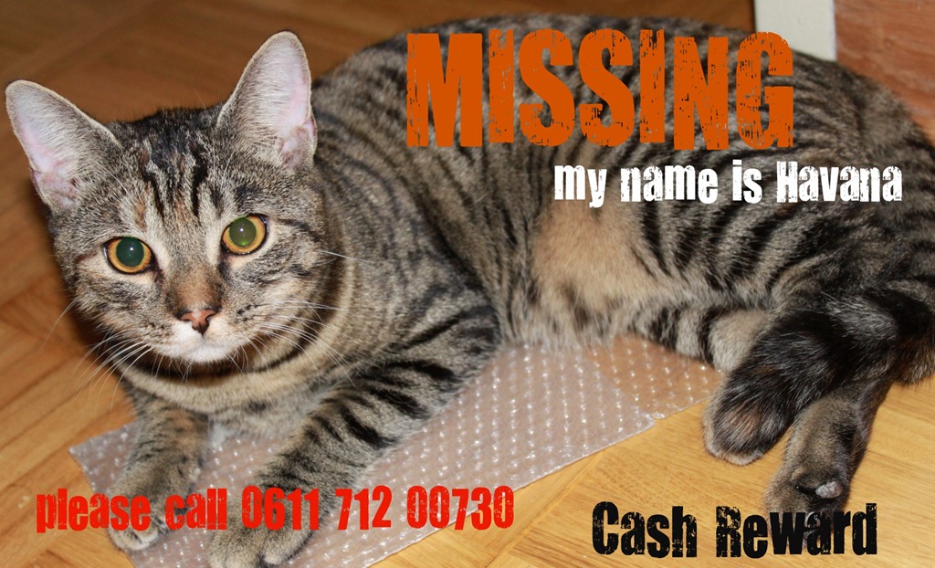 [havanamissingcash[7].jpg]