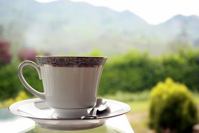 Cup of tea at Ceylon Tea Trails in Sri Lanka