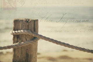 ImagesByClaire 4220594648_1454f5e8fb