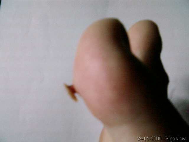 [240520096.jpg]