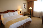 Radisson LAX-Sleep number bed