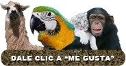 pagina facebook mochileros