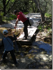 oak canyon hike creek crossing oak canyon hike creek crossing