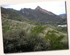 PCTR Malibu Creek-1 PCTR Malibu Creek-1