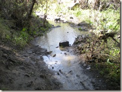 PCTR Malibu Creek single track mud 2