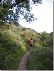 OC Trail Run single track OC Trail Run single track