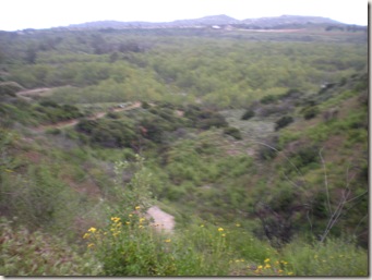 DSCN2973 DSCN2973