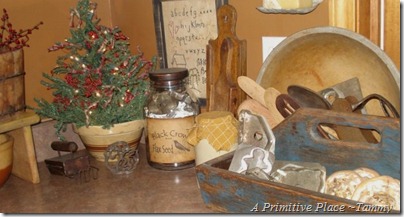 A Primitive Place ~Tammy