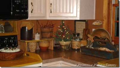 A Primitive Place ~Tammy