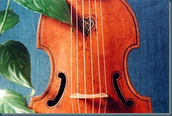 viol2