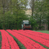  &ndash;  &ndash; 01-May-2010