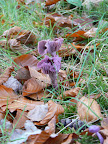 P1040137.JPG