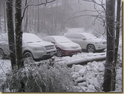 IMG_4970 IMG_4970