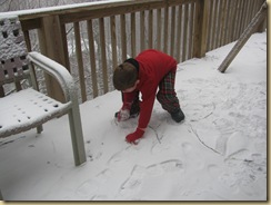 IMG_4978 IMG_4978