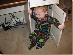 IMG_4371 IMG_4371