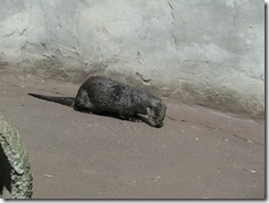 IMG_5960 IMG_5960