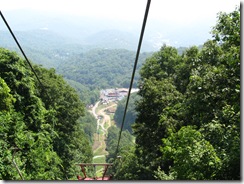 IMG_5976 IMG_5976