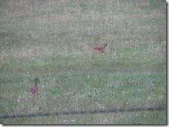 IMG_6061 IMG_6061