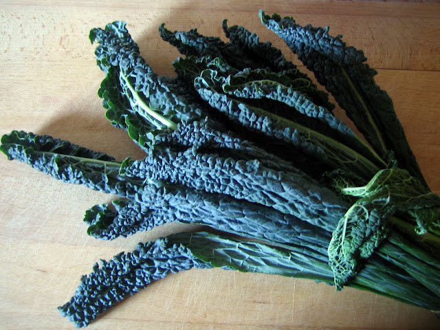 כרוב שחור - kale