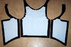 Bodice and Interlining