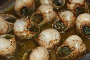 Schnecke