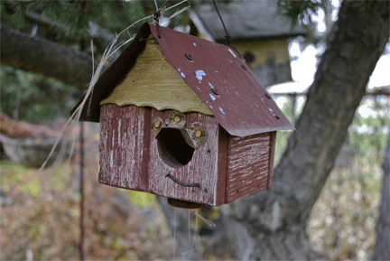 birdhouse_ani