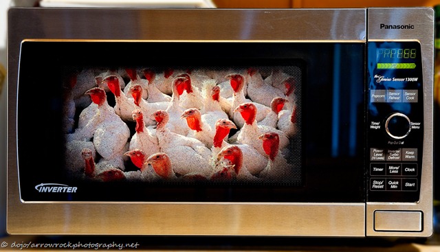 [thanksgiving-6027[13].jpg]