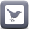 follow diy newlyweds twitter