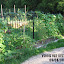 SerenDippity's Veggie garden