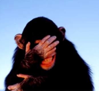 [embarrassed-chimpanzee[2].jpg]