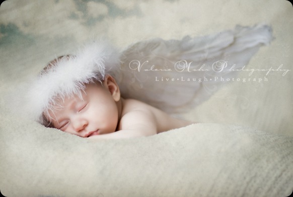 wm_020109_0869_angel