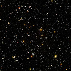 cosmos1.jpg