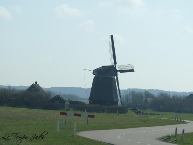 [molen3.jpg]