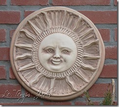tuin mei 2009 029