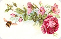 rosebee