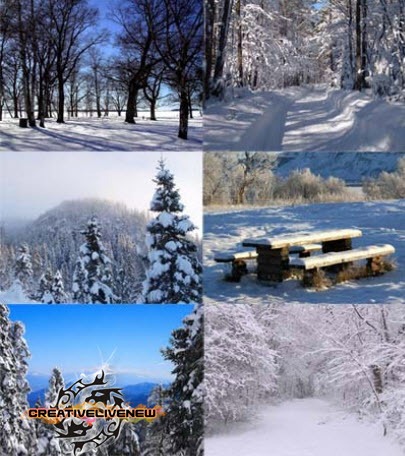 [88 Beautiful Photos About Winter[3].jpg]