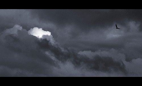 2784219069_b32ca0d03c.jpg
