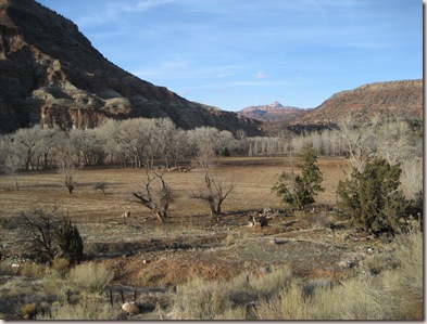 Mountain Dell 020